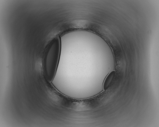 X0000113320688200909281208