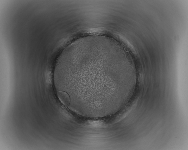 X0000113320689200909281208