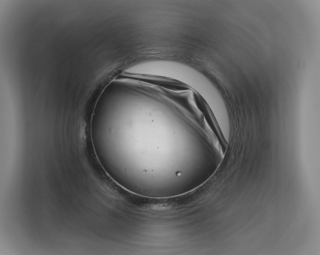 X0000113320692200909281208