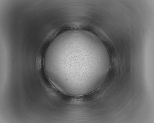 X0000113320694200909281208