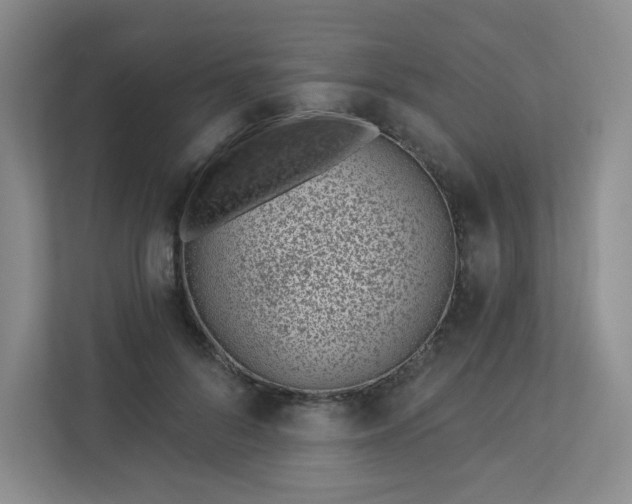 X0000113320696200909281207