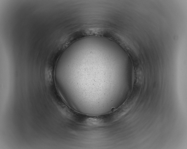 X0000113320699200909281207