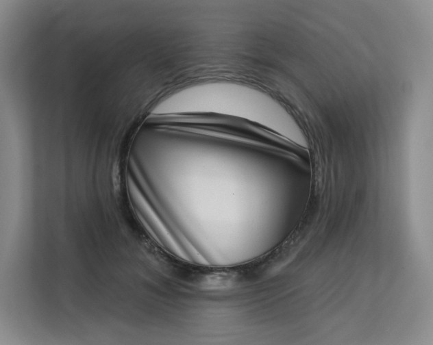 X0000113320700200909281207