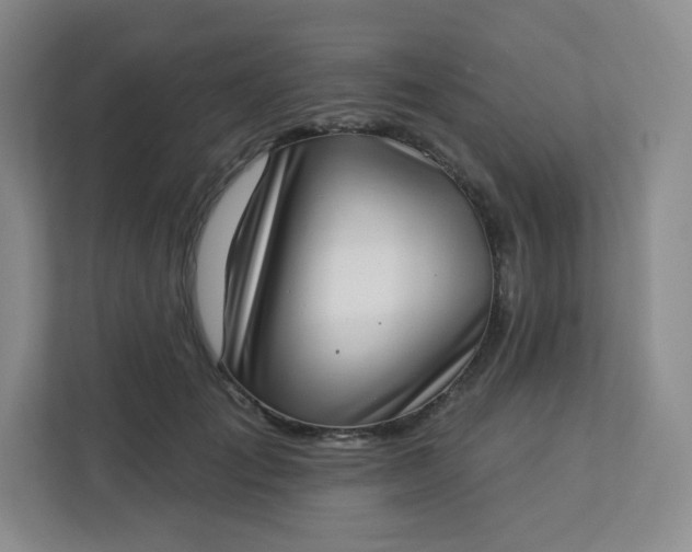 X0000113320701200909281207