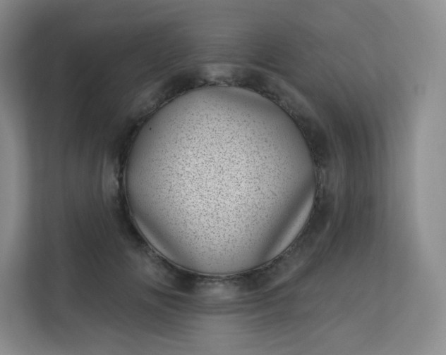 X0000113320702200909281207