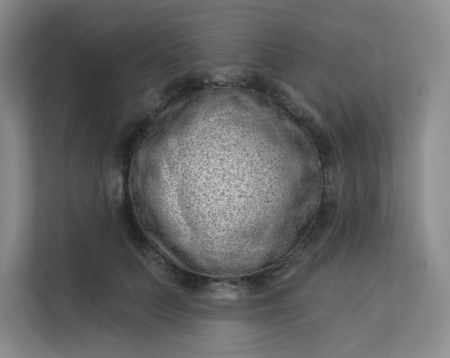 X0000113320703200909281207