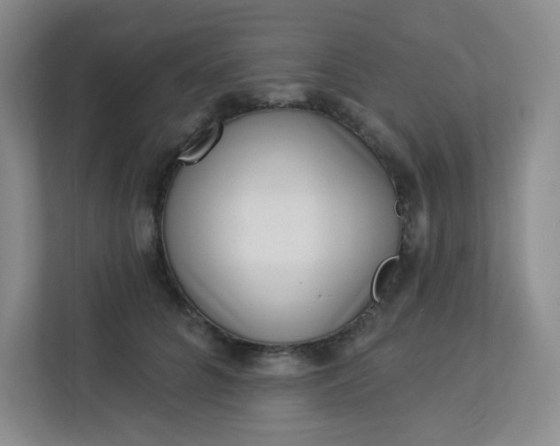 X0000113320704200909281207