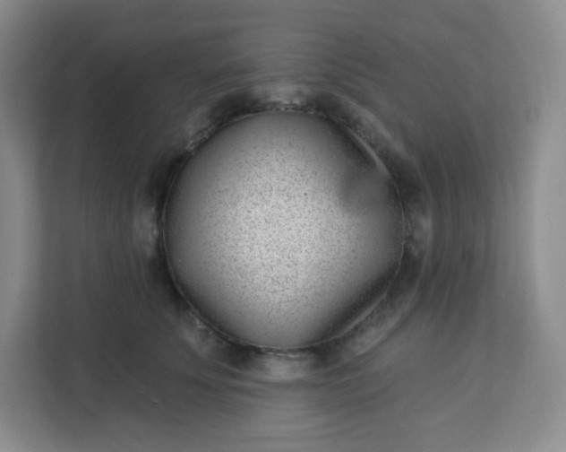 X0000113320707200909281207