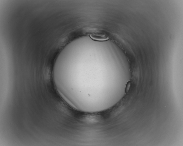 X0000113320708200909281207