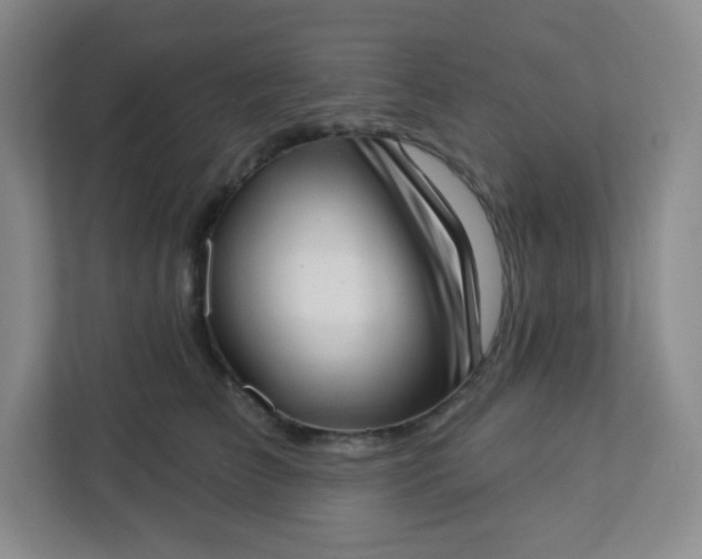 X0000113320709200909281207