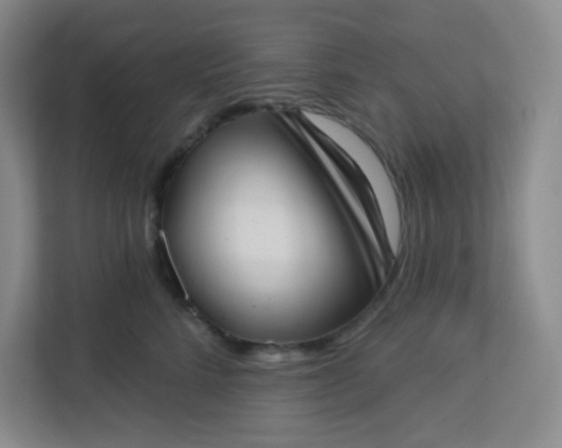 X0000113320712200909281207