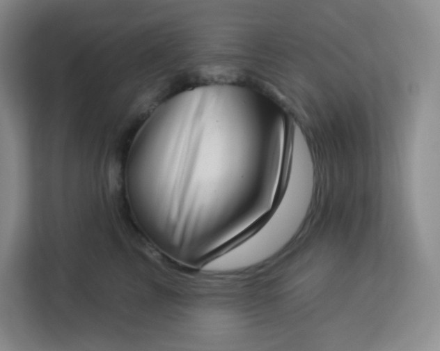 X0000113320713200909281207