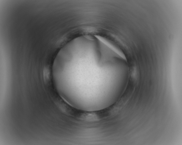 X0000113320715200909281207