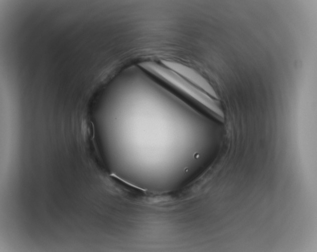 X0000113320716200909281207