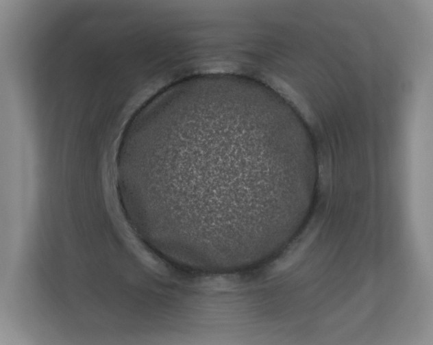 X0000113320721200909281207