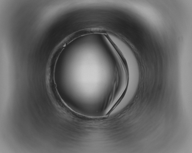 X0000113320724200909281207