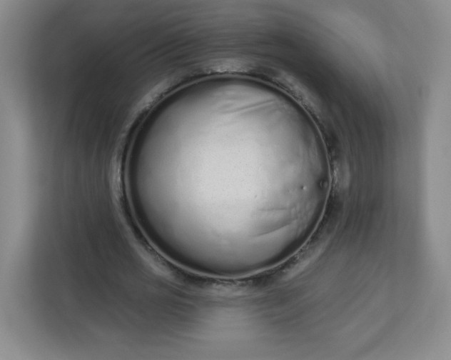 X0000113320725200909281207