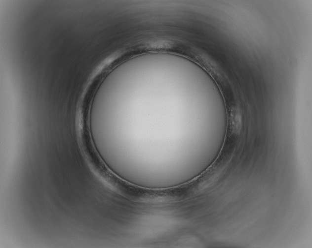 X0000113320726200909281207