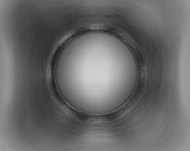 X0000113320727200909281207