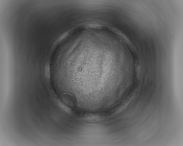 X0000113320729200909281207