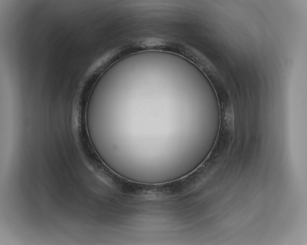 X0000113320732200909281207