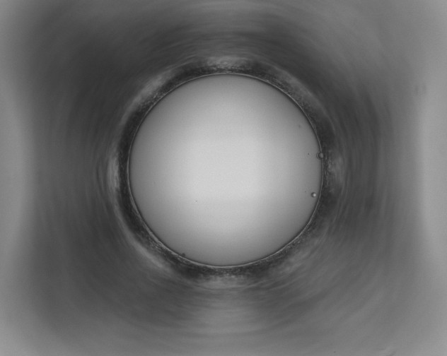 X0000113320734200909281207