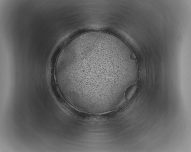 X0000113320736200909281207