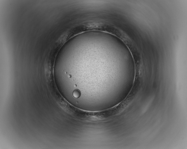 X0000113320737200909281207