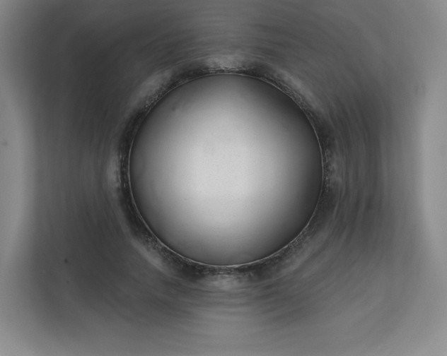 X0000113320738200909281207