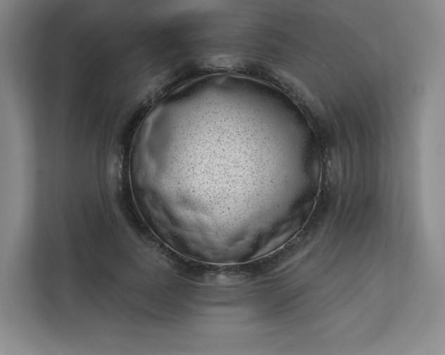 X0000113320739200909281207