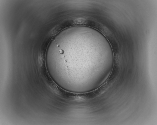 X0000113320741200909281207