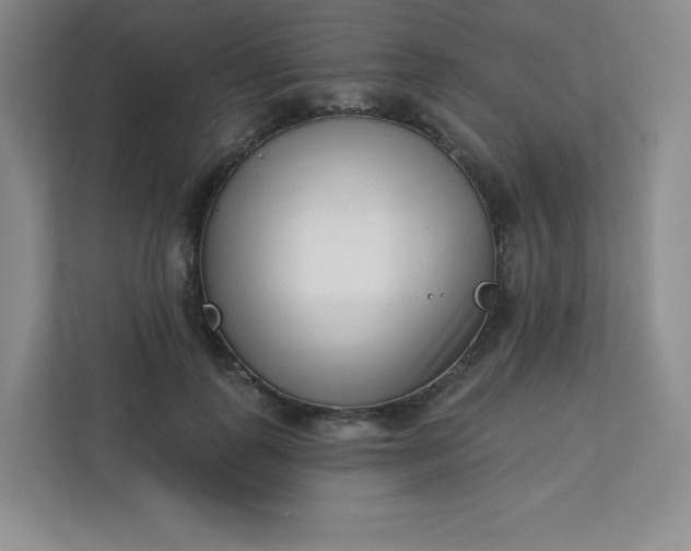 X0000113320747200909281207