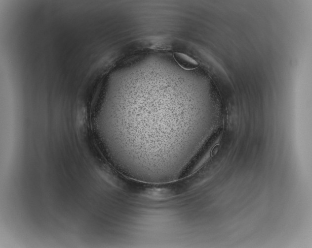 X0000113320748200909281207