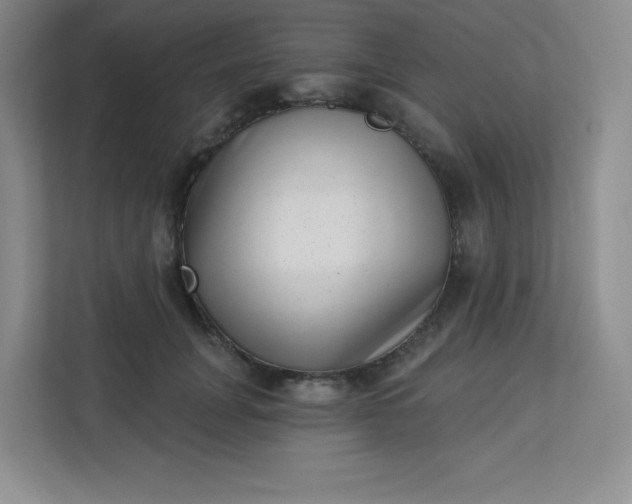 X0000113320751200909281207