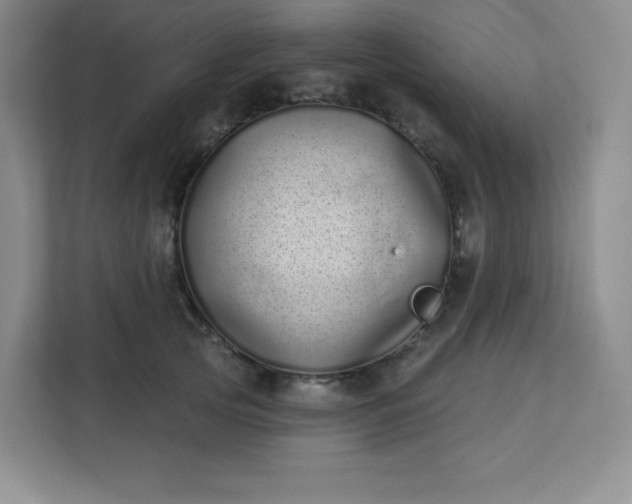 X0000113320753200909281207