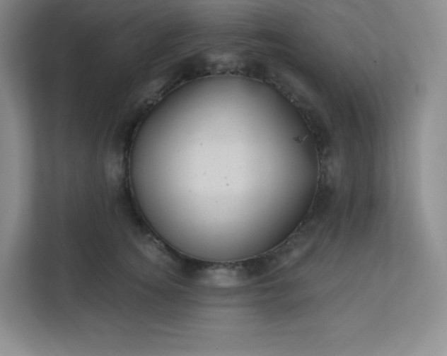 X0000113320756200909281207