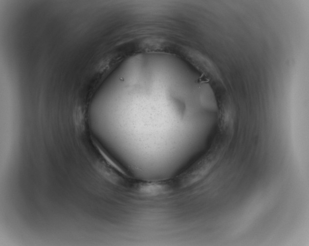 X0000113320759200909281207