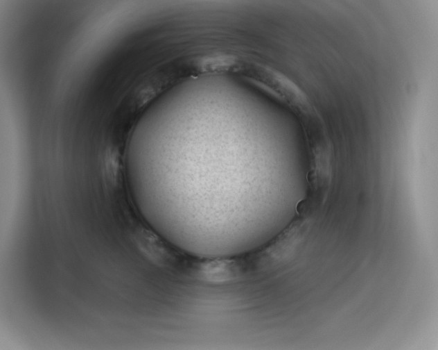 X0000113320761200909281207