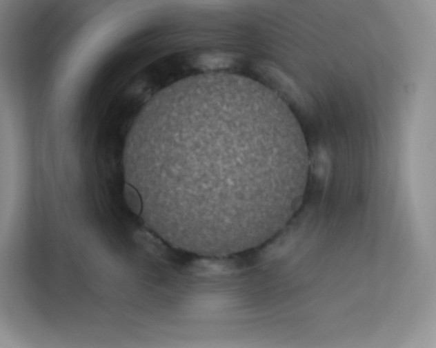 X0000113320763200909281207