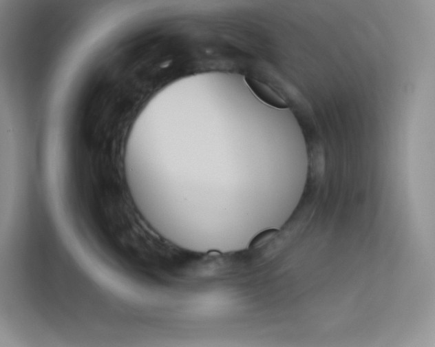 X0000113320764200909281207