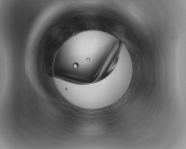 X0000113320766200909281207