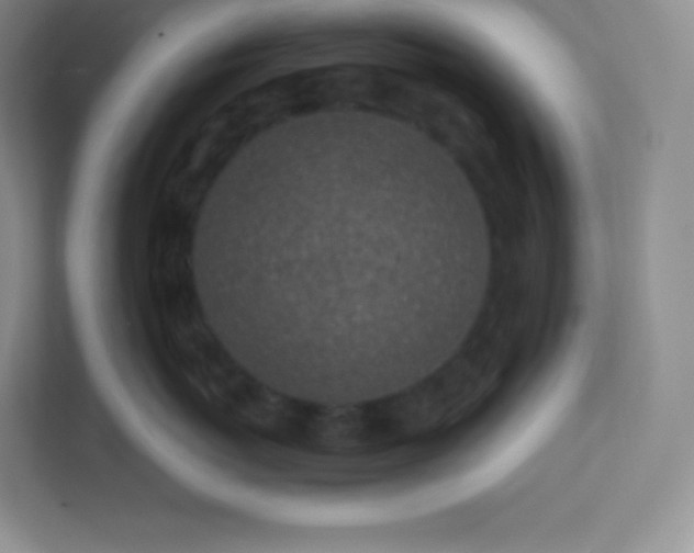 X0000113320767200909281207