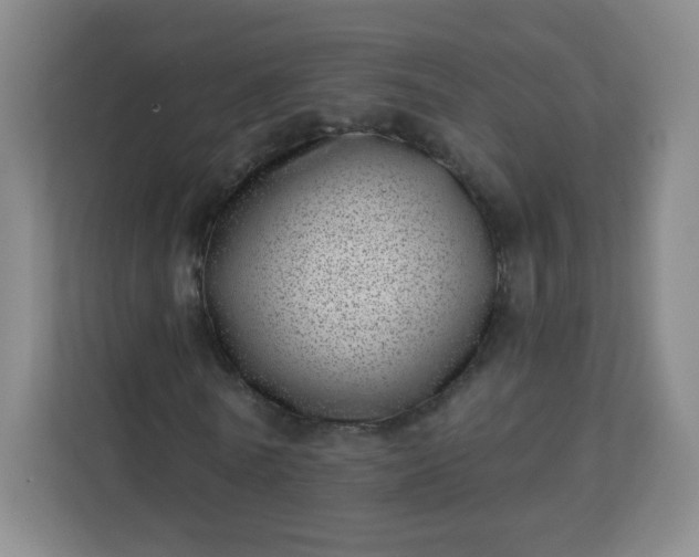 X0000113320770200909281207