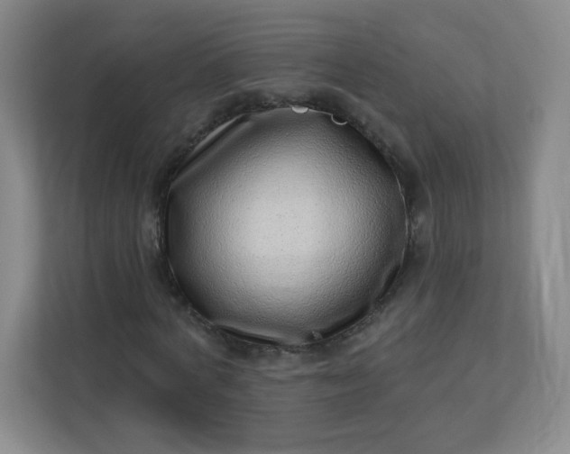 X0000113320772200909281207