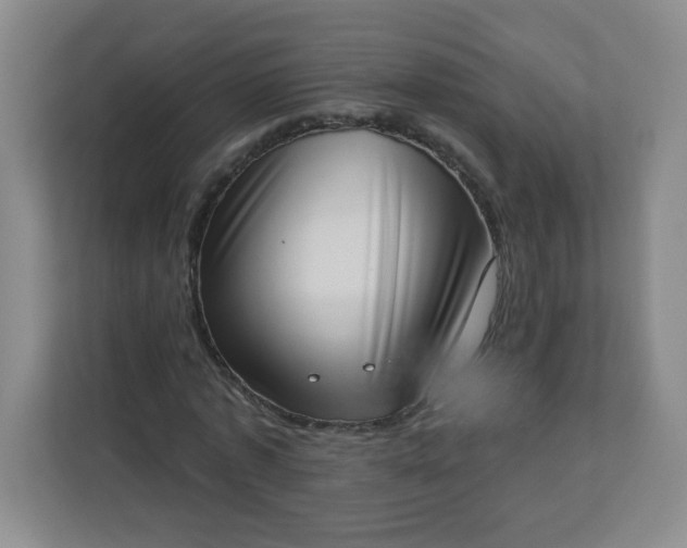 X0000113320773200909281206