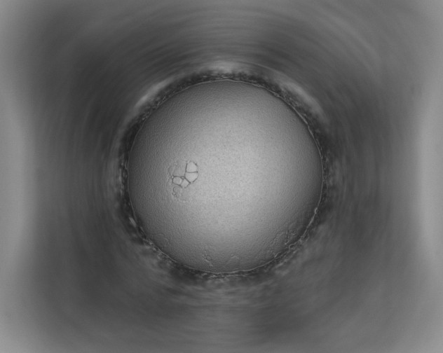 X0000113320776200909281206