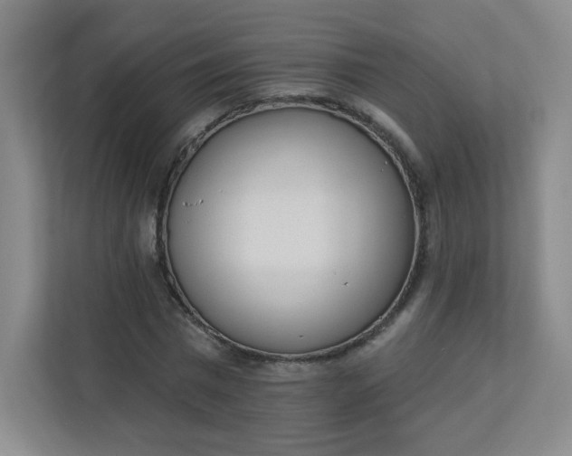 X0000113320777200909281206