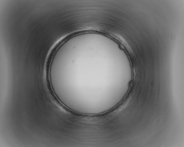 X0000113320780200909281206