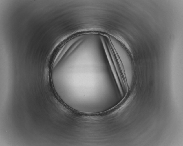 X0000113320781200909281206