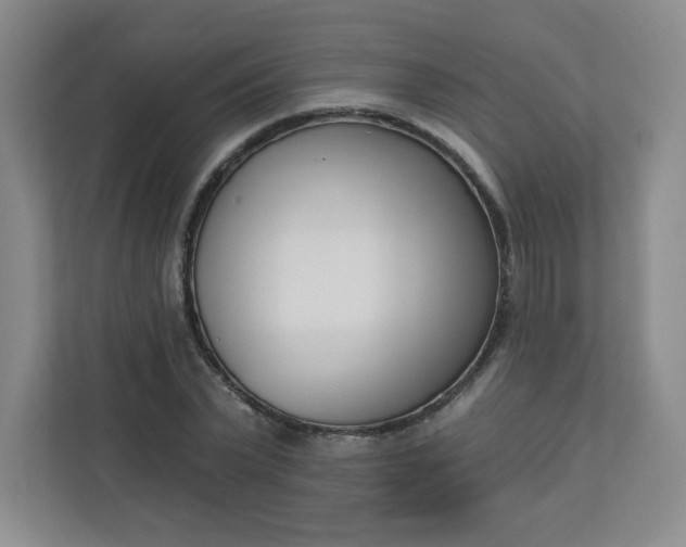 X0000113320783200909281206